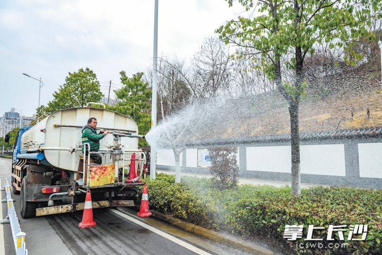 2月19日,，園林工人柳德庚在新姚北路沿路澆灌花草樹(shù)木,。長(zhǎng)沙晚報(bào)記者 陳飛 卜勁文 攝影報(bào)道