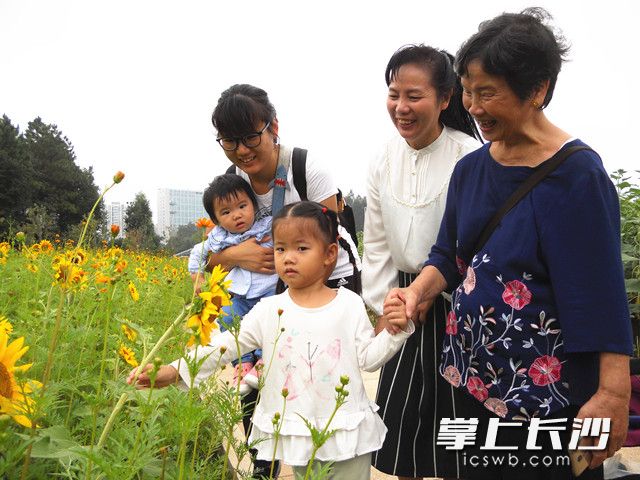 市民,、游客徜徉在到植物園向日葵“花海”感受秋天的美好。