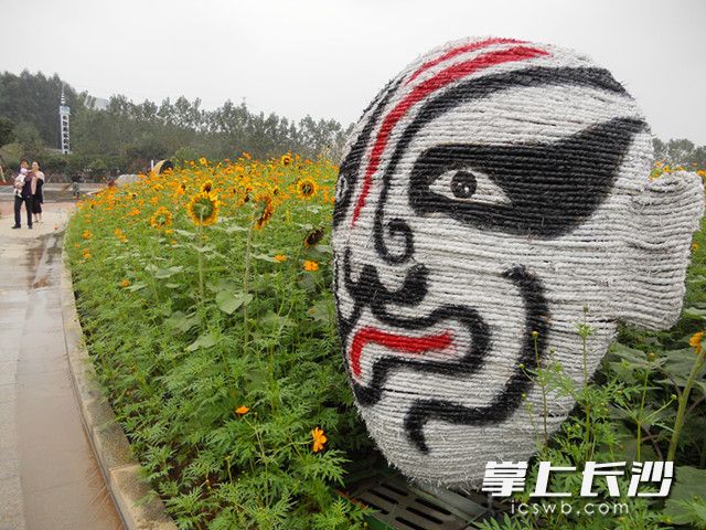 植物園內(nèi)的臉譜稻草藝術(shù)展體現(xiàn)出民族特色,。