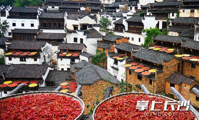 這是8月7日在江西省婺源縣江灣鎮(zhèn)篁嶺村拍攝的村民晾曬的辣椒等農(nóng)作物,。