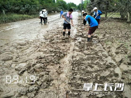 巴溪洲面積廣,，清淤工程量巨大