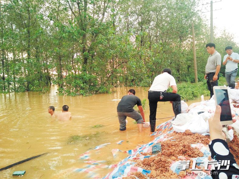 7月3日,，蔡正根老人（左一）在水中堵管涌,。 長沙晚報(bào)通訊員 郭利春 攝