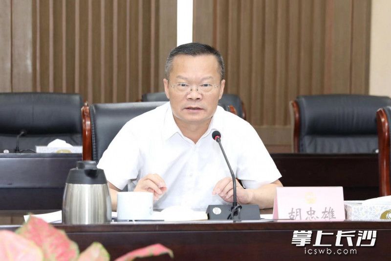今日，胡忠雄專題研究市軌道交通集團轉型改革,、城市一卡通建設,、垃圾分類等工作,。劉書勤 攝