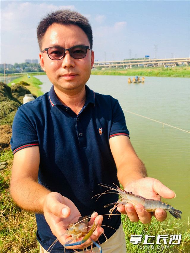 引入清澈的撈刀河水,，無需凈化，陳輝華養(yǎng)出肥美的羅氏蝦,。 全媒體記者 李卓 攝