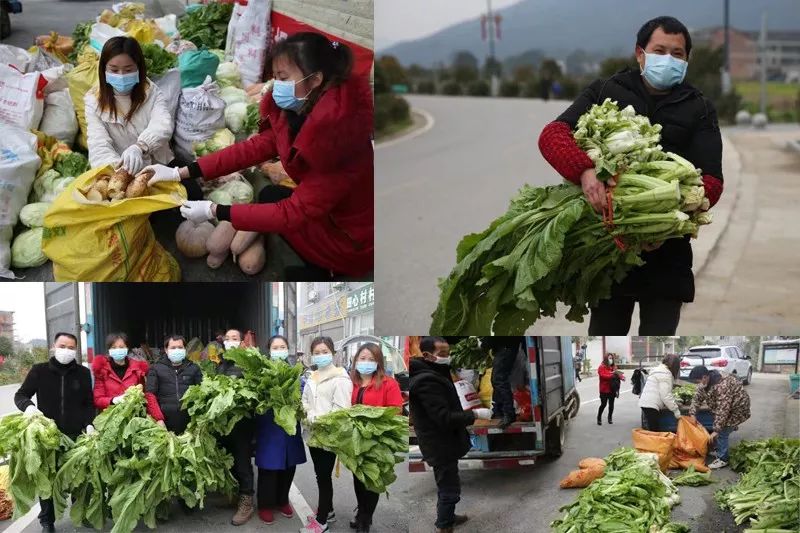 小河農(nóng)民和志愿者捐贈(zèng)蔬菜并打包,。受訪者供圖