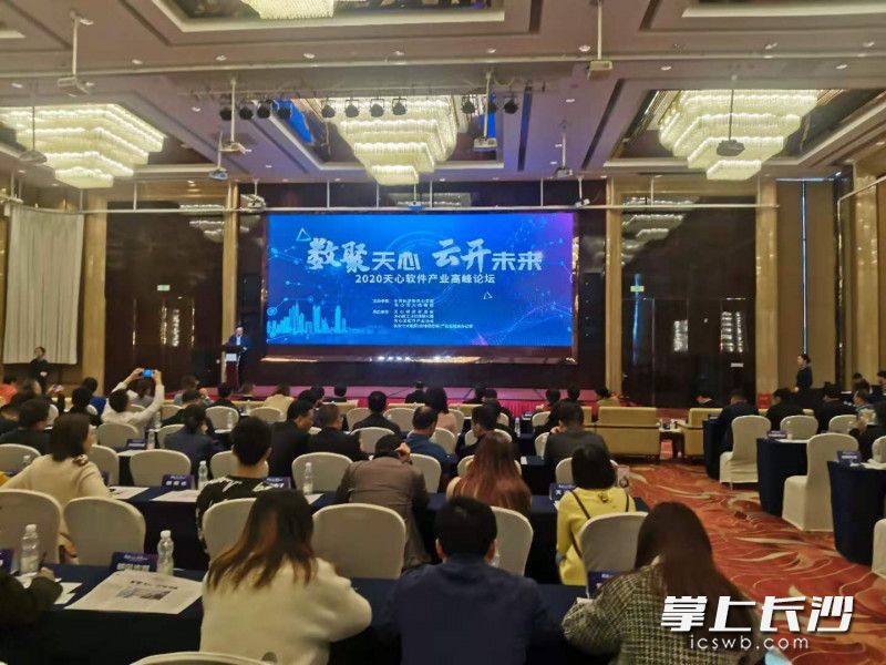 論壇現(xiàn)場(chǎng)。長(zhǎng)沙晚報(bào)全媒體記者 王斌 攝