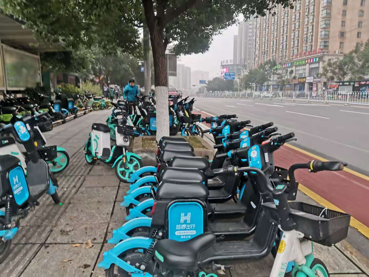 天心區(qū)共享單車停放點(diǎn),。長(zhǎng)沙晚報(bào)全媒體記者 王斌 攝