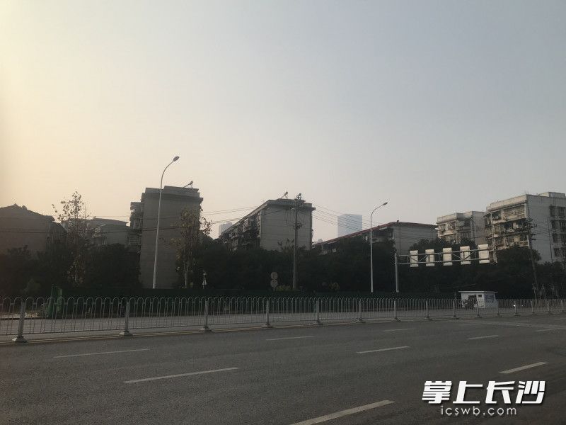 市民反映的路燈分布在洞井路的兩邊,。長(zhǎng)沙晚報(bào)全媒體記者 張洋子 攝