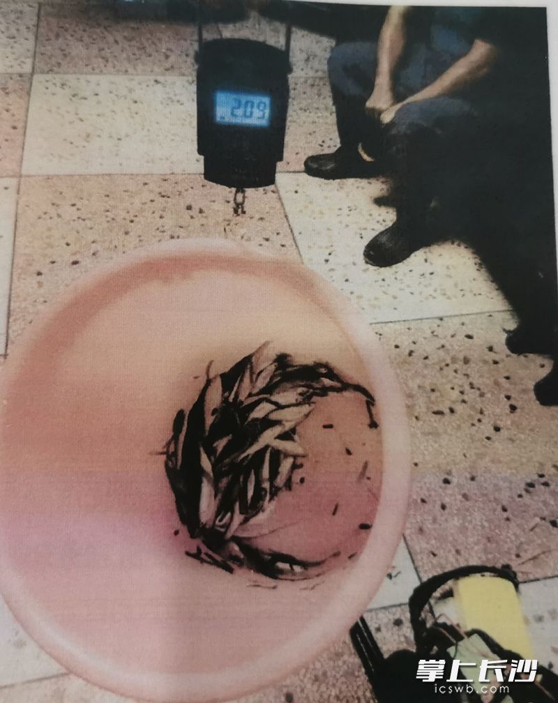 羅某某“電打魚”漁獲物,。