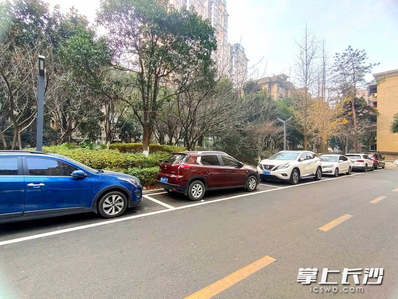 小綠化更美了，道路白改黑,，還畫上了交通標(biāo)識線。長沙晚報(bào)全媒體記者 王斌 攝