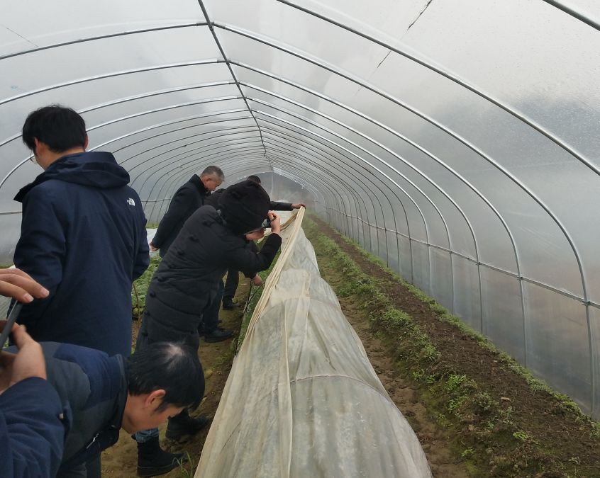 在仙洲村高仙種植合作社蔬菜新品種展示基地,，農(nóng)戶熊榮發(fā)帶領(lǐng)大家查看茄子、辣椒,、黃瓜等早春瓜蔬類的長勢,。