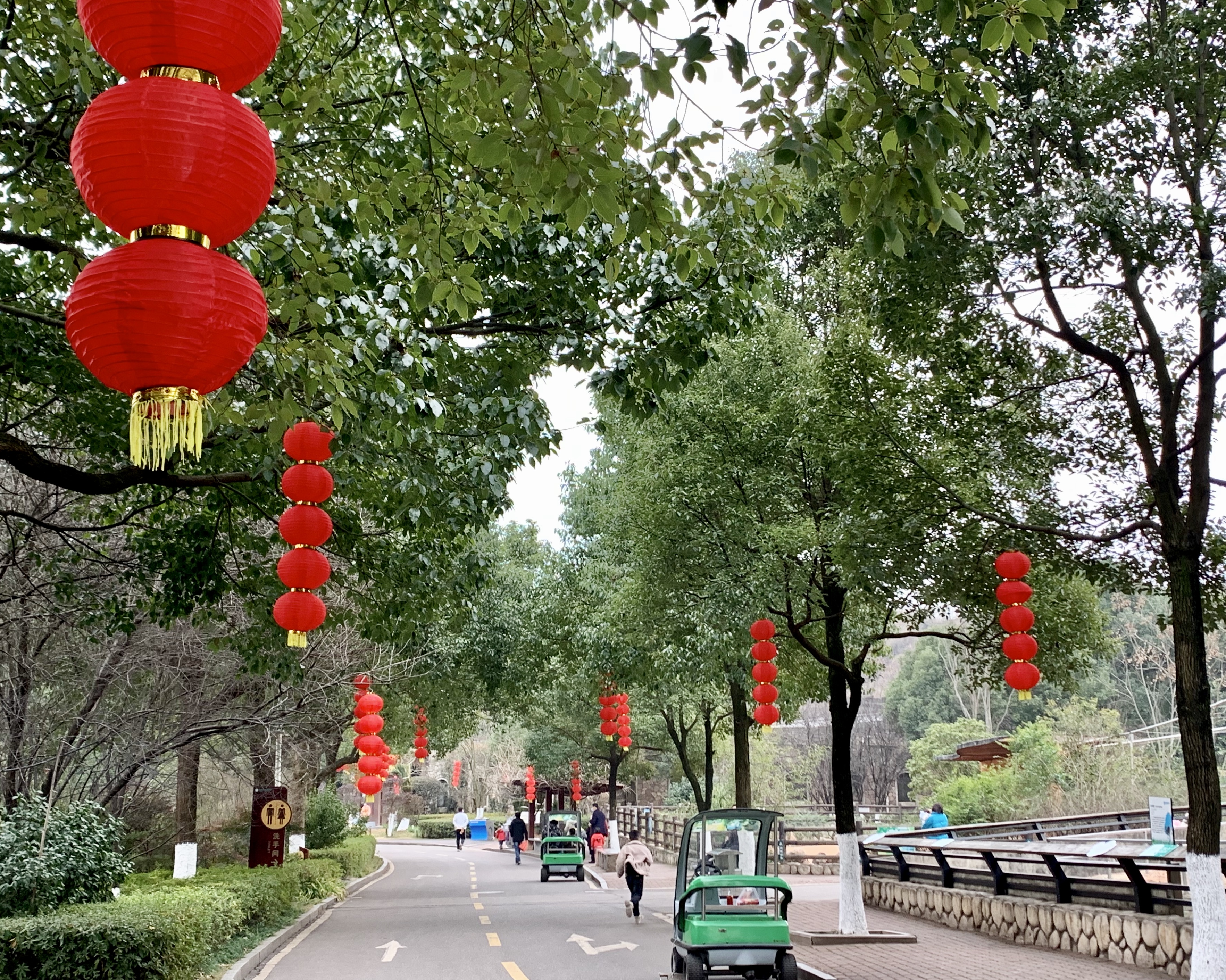 長沙生態(tài)動物園內(nèi)張燈結(jié)彩，一派喜氣洋洋的氛圍,。