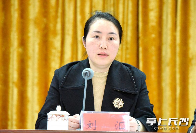 天心區(qū)委書記劉匯  長(zhǎng)沙晚報(bào)通訊員 張倞 攝