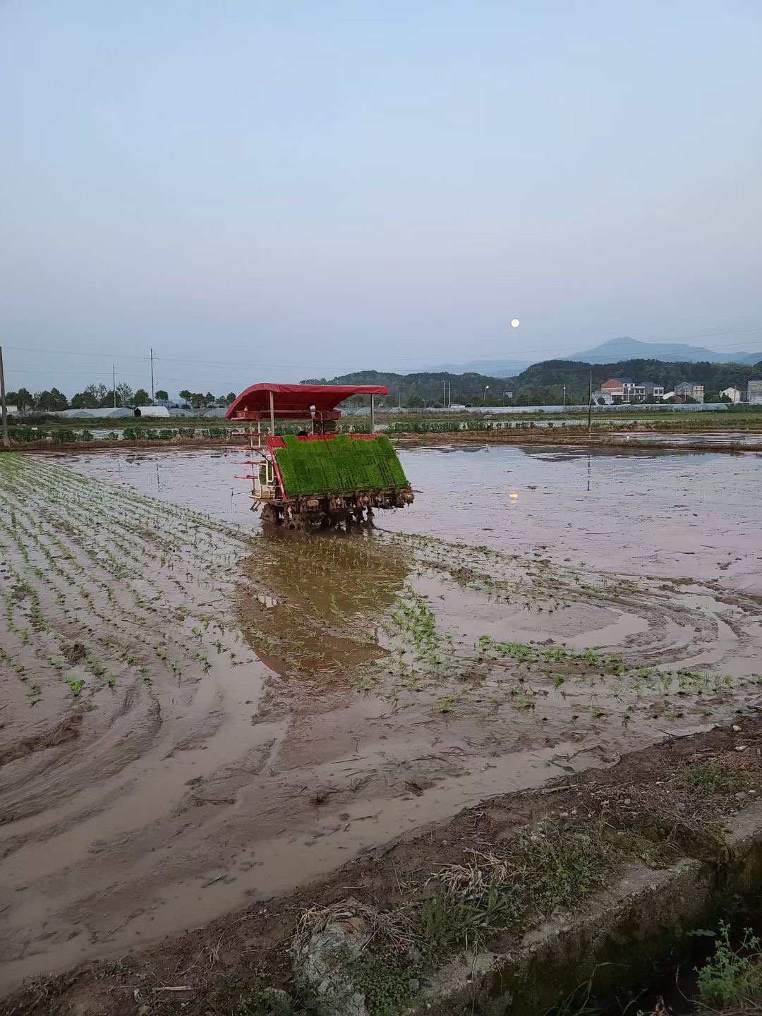 瀏陽(yáng)市龍伏鎮(zhèn),，種糧大戶正通過(guò)插秧機(jī)作業(yè),。 長(zhǎng)沙晚報(bào)全媒體記者 錢娟 攝