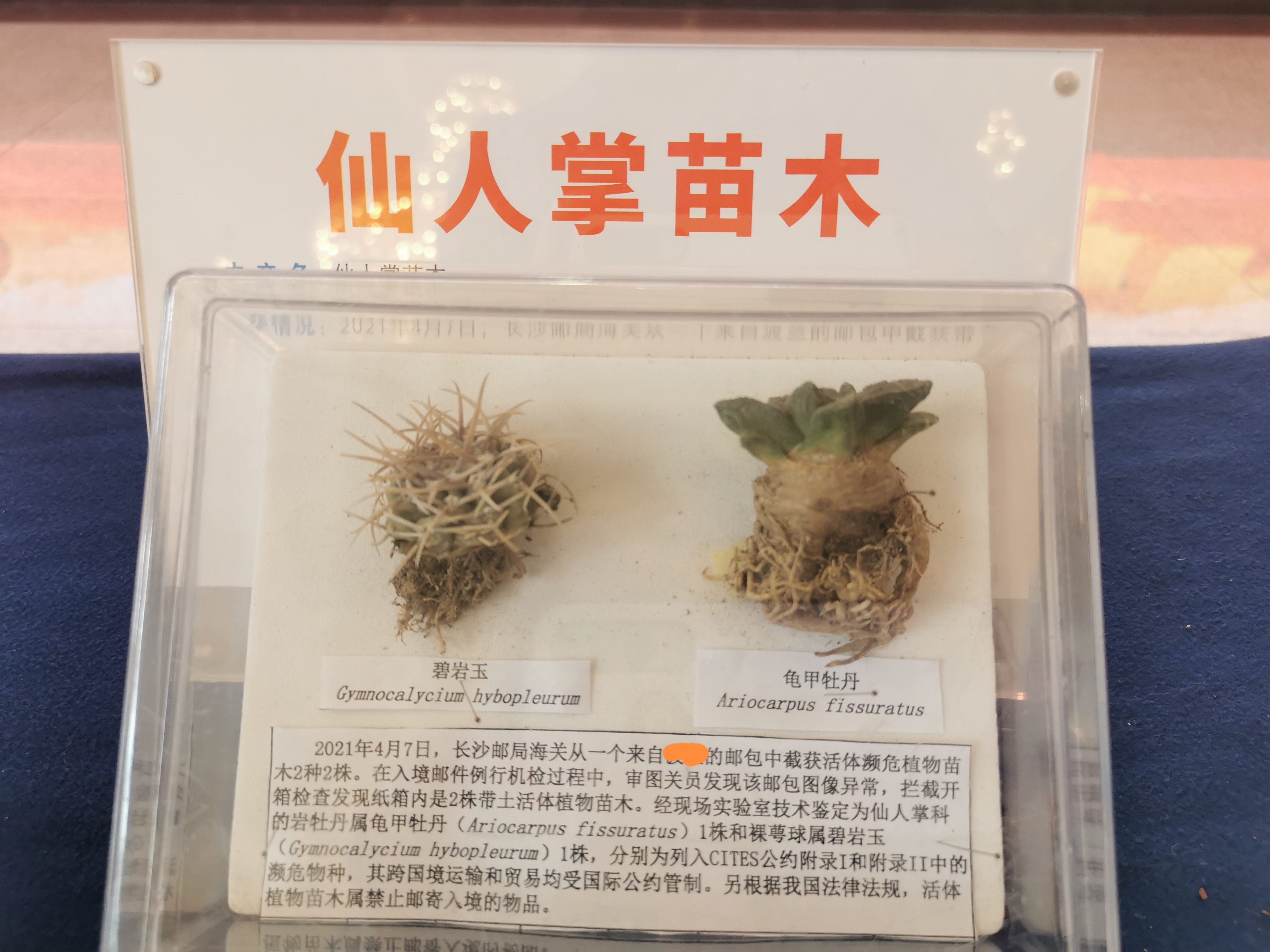 截獲的珍稀物種,。