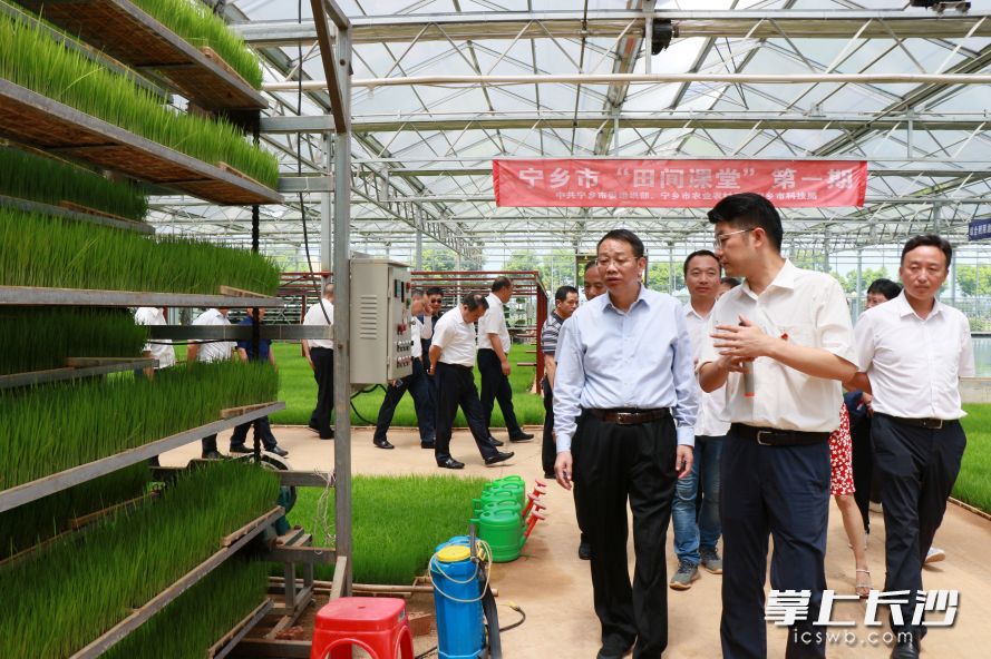 雙江口鎮(zhèn)集中育秧工廠,。