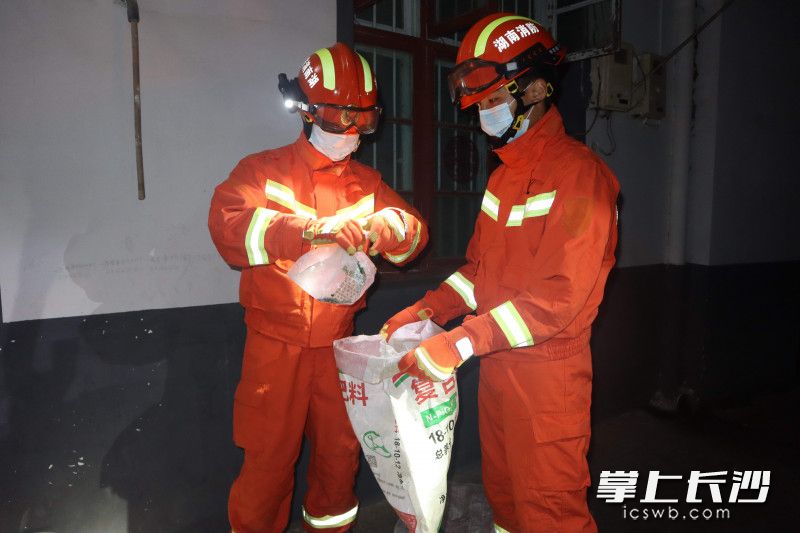 金洲中心消防救援站消防員成功將銀環(huán)蛇控制，裝入袋中,。長(zhǎng)沙晚報(bào)通訊員 熊方圓 供圖