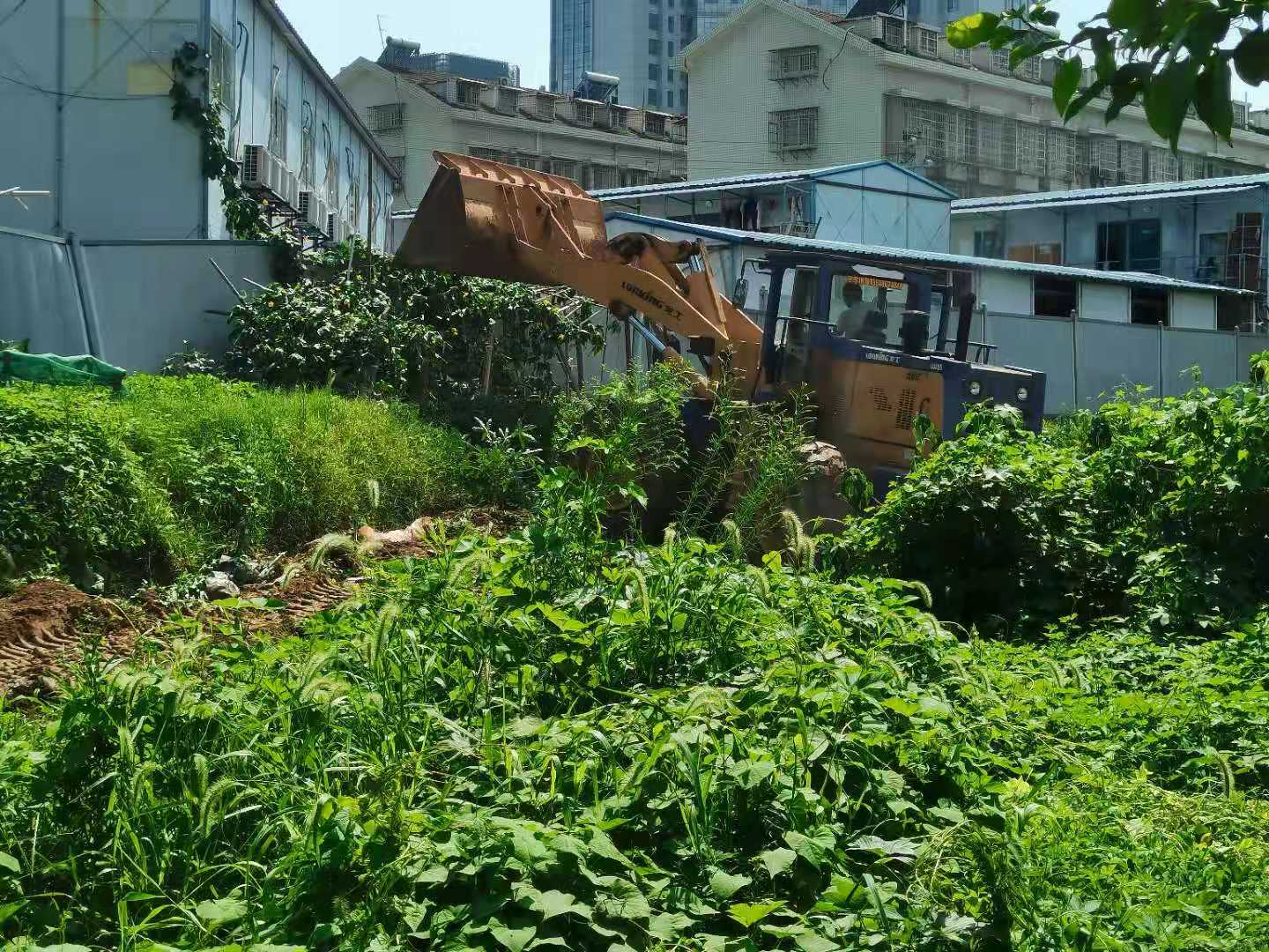 整治行動中，推土機正平整場地,。  長沙晚報通訊員  章錦 攝