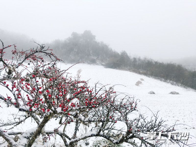壺瓶山雪中美景