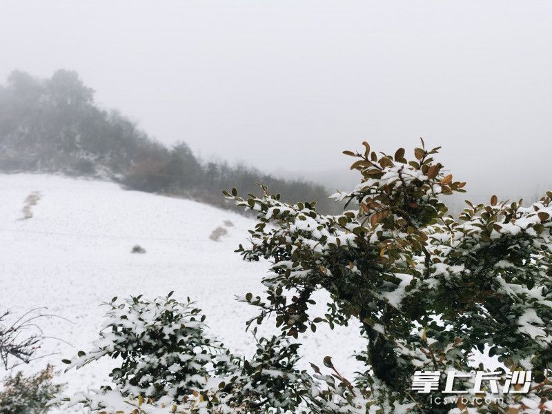 壺瓶山下雪了