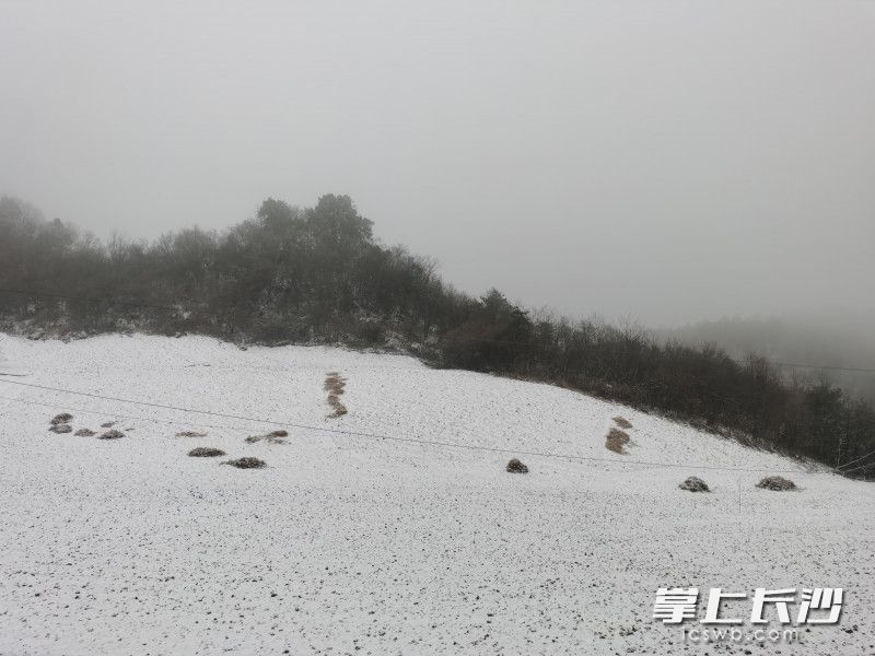 壺瓶山