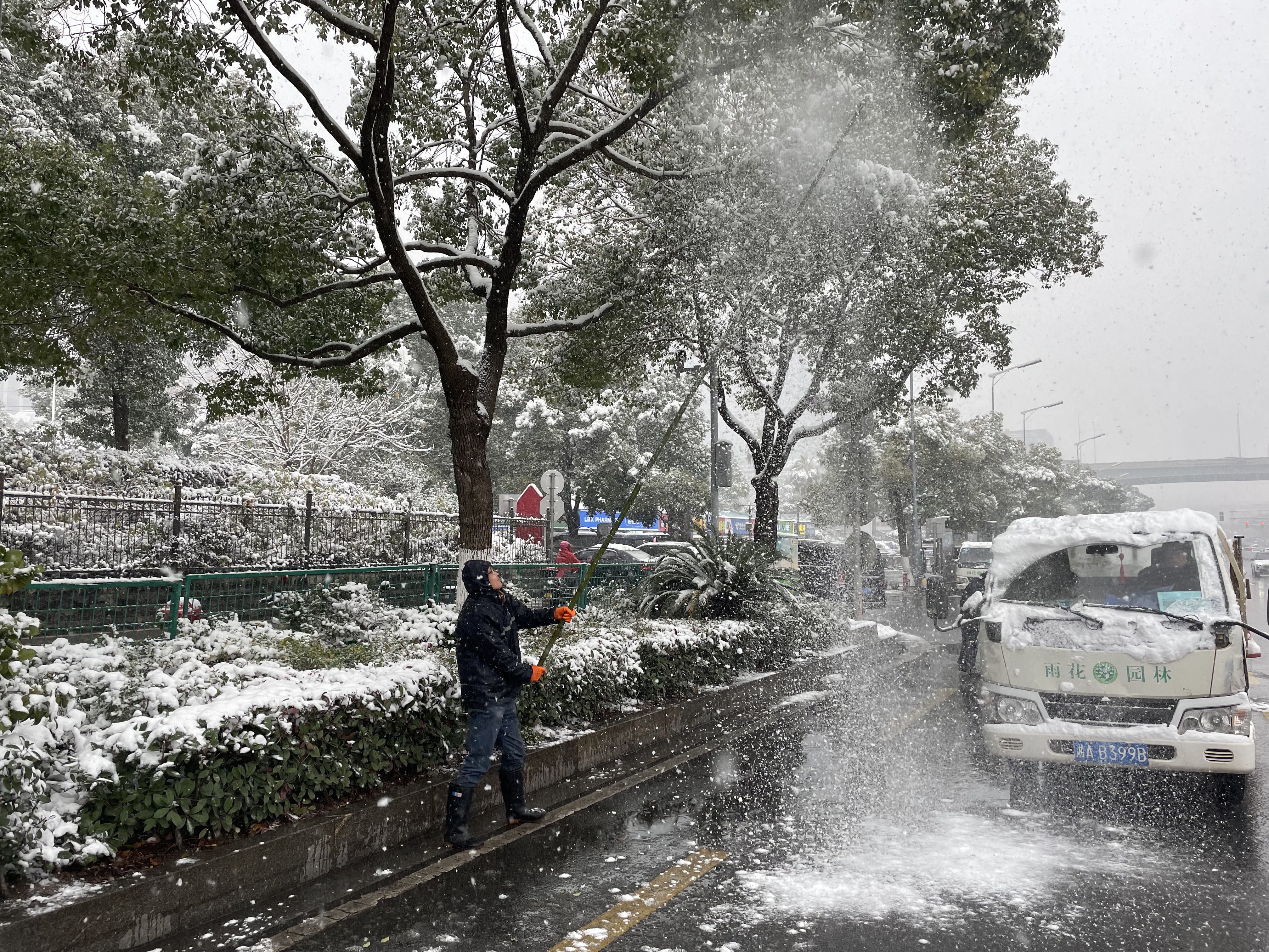 風雪中,，240余名雨花園林應(yīng)急人員高效開展清障扶樹工作。  長沙晚報通訊員  楊佳 攝