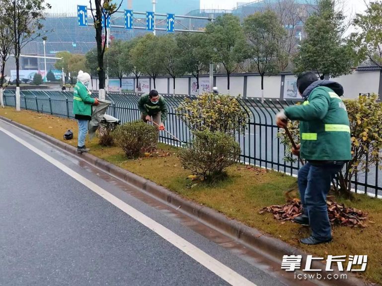 春節(jié)期間，城市的主干道上,，社區(qū)公園,、游園等公共綠地，隨處可見(jiàn)雨花區(qū)園林工作人員堅(jiān)守一線的忙碌身影,。長(zhǎng)沙晚報(bào)通訊員  楊佳 攝