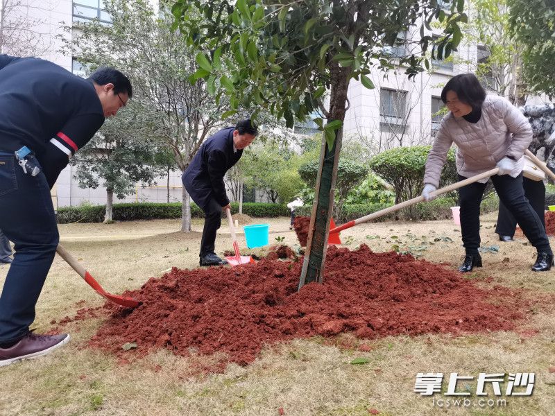 活動參與者共同植樹,。長沙晚報實習生 羅楊 攝