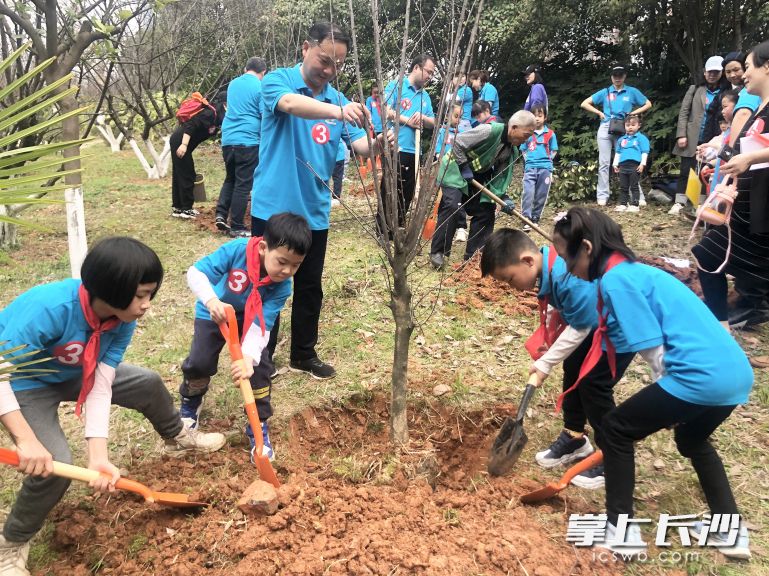 雨花區(qū)沙灣公園內(nèi),，大人孩子一同種下“共享林”,。長沙晚報通訊員 高興 攝