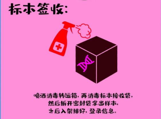 標本簽收：噴灑消毒轉運箱，再消毒標本接收袋,，然后拆開密封袋拿出樣本,，之后入架排好，登錄信息,。