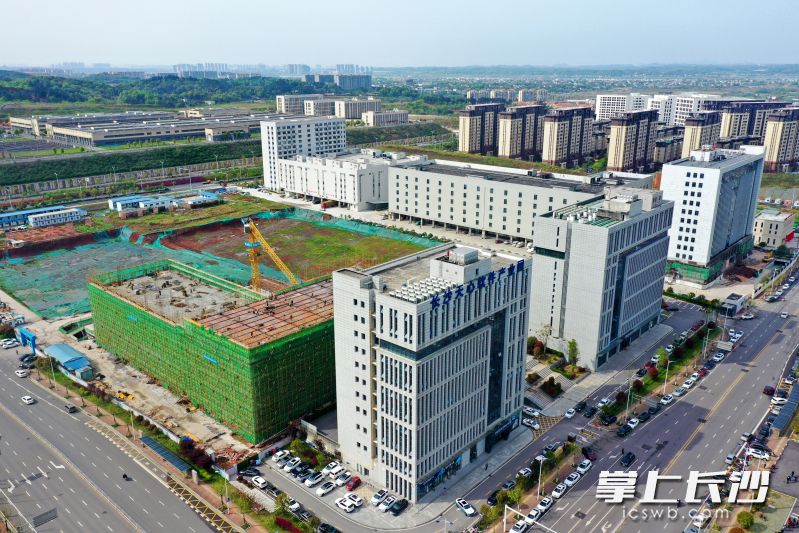 天心軟件園二期項目拔節(jié)生長,。長沙晚報通訊員 鄭娜 供圖