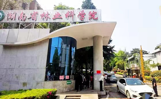 省林科院解封,，小區(qū)車輛排隊(duì)出門,。均為長(zhǎng)沙晚報(bào)通訊員 趙凍連 供圖
