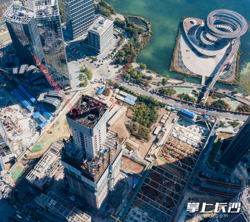 金茂大廈項目正以每4天一層的速度長高,。 長沙晚報全媒體記者 鄒麟 攝