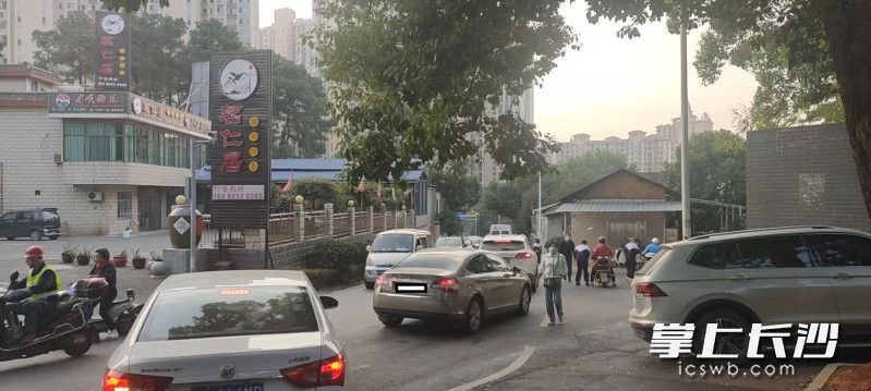 學(xué)生和家長(zhǎng)在車(chē)流中行走。
