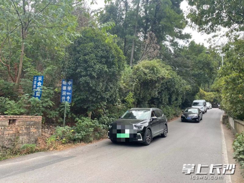中午非交通高峰時(shí)期,，但來(lái)往圭白路的車(chē)輛依舊絡(luò)繹不絕。