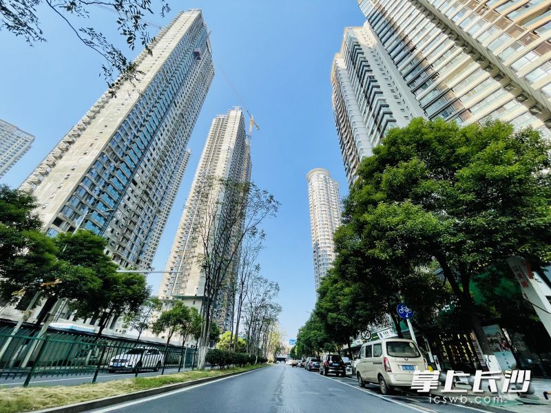 北辰三角洲D(zhuǎn)3、D4區(qū)之間隔著一條車水馬龍的江天路,，天橋建成后,，業(yè)主街坊之間走動方便心更近，孩子上學更安全,。 長沙晚報全媒體記者 李卓 攝