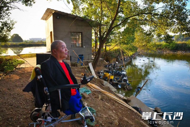 如今,，周國民和同村好友一起搞起養(yǎng)殖，可鴨子滯銷讓他犯了難,，希望得到大家的幫助,。受訪者供圖