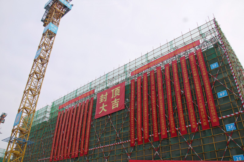 岳麓山實(shí)驗(yàn)室集聚區(qū)農(nóng)大片區(qū)項(xiàng)目迎來(lái)主體結(jié)構(gòu)首棟封頂,。