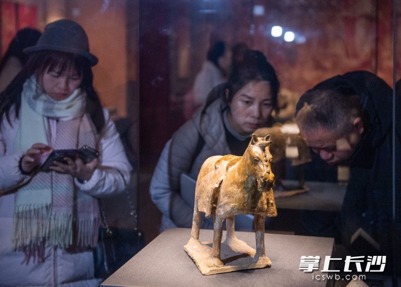 長沙博物館館慶系列活動暨“融合之路——拓跋鮮卑遷徙與發(fā)展歷程”特展開幕,，市民正在觀看展覽。