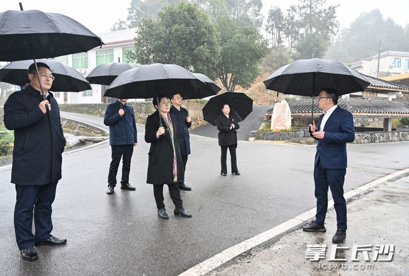 3月5日下午,，省委常委、市委書記吳桂英在瀏陽市淳口鎮(zhèn)山田新村古井屋場調(diào)研,。均為長沙晚報全媒體記者 余劭劼 攝