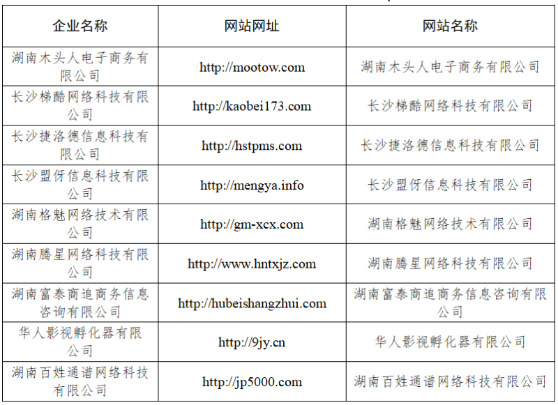 9家嚴(yán)重違法失信企業(yè)網(wǎng)站經(jīng)營(yíng)情況表