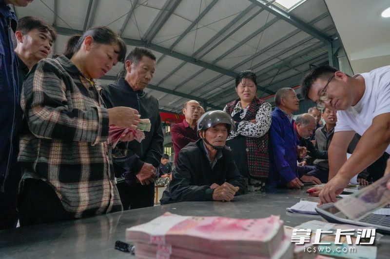 在大山深處的黑麋峰村煙筍產(chǎn)業(yè)化基地,，百余名村民集聚在這里領(lǐng)取連日來的挖筍工資。均為全媒體記者 陳飛攝