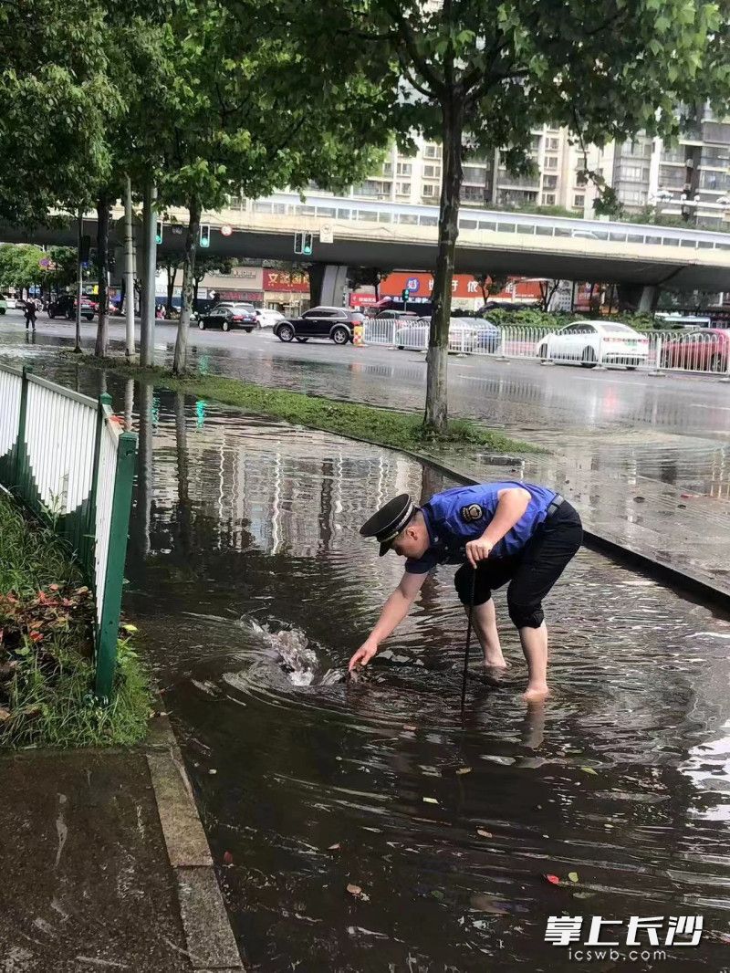 城管隊員徒手清掏篦子口的樹葉和垃圾。