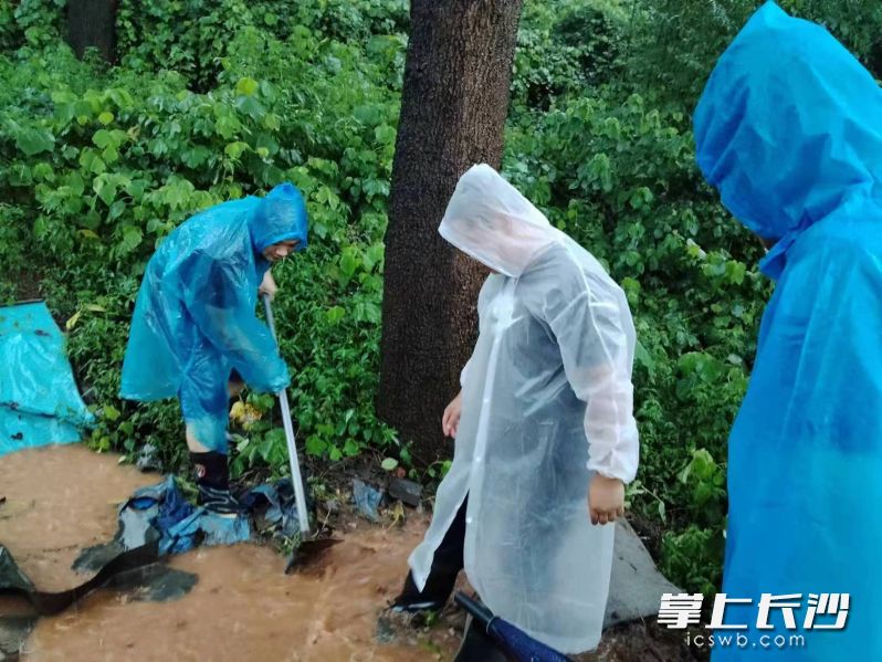 工作人員冒雨疏通排水設(shè)施。