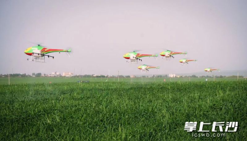 無人機在田間輕舞,，“科技范兒”實打實轉化成了農(nóng)業(yè)生產(chǎn)力,。  資料圖片