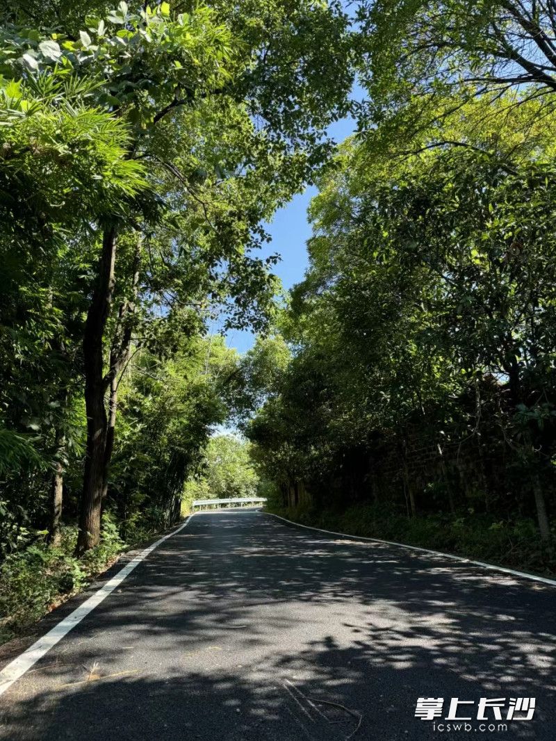 歷時(shí)48天,，嶄新的道路已正式竣工通車。 均為 長沙晚報(bào)通訊員 吳祎瑋 攝