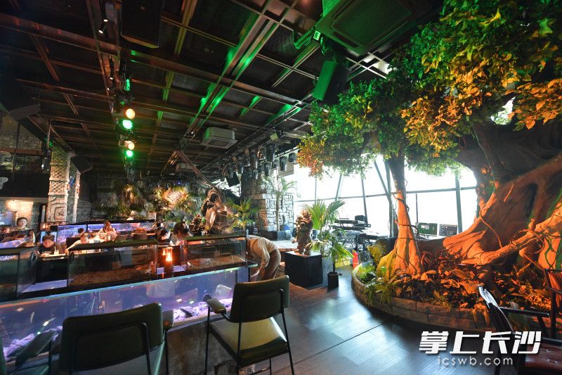 瑪雅之城內(nèi)的植物、裝飾等都進(jìn)行了精心設(shè)計(jì),，特別是動(dòng)物的展示環(huán)境,，按照其原生生活場(chǎng)景進(jìn)行還原。