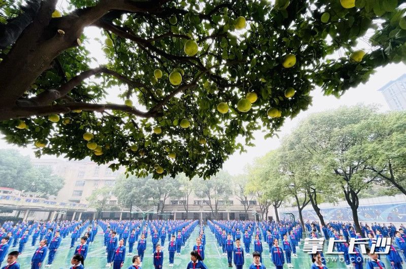 砂小少年，從這里走向全世界,。
