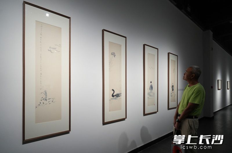 觀展現(xiàn)場(chǎng),。