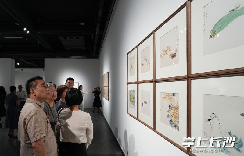 觀展現(xiàn)場(chǎng),。